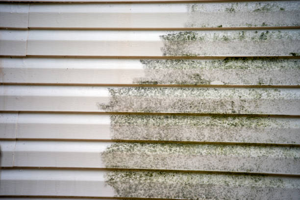 Affordable Siding Repair and Maintenance Services in Beltsville, MD